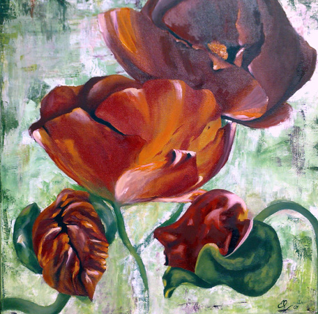 Der Mohn-50x50.jpg